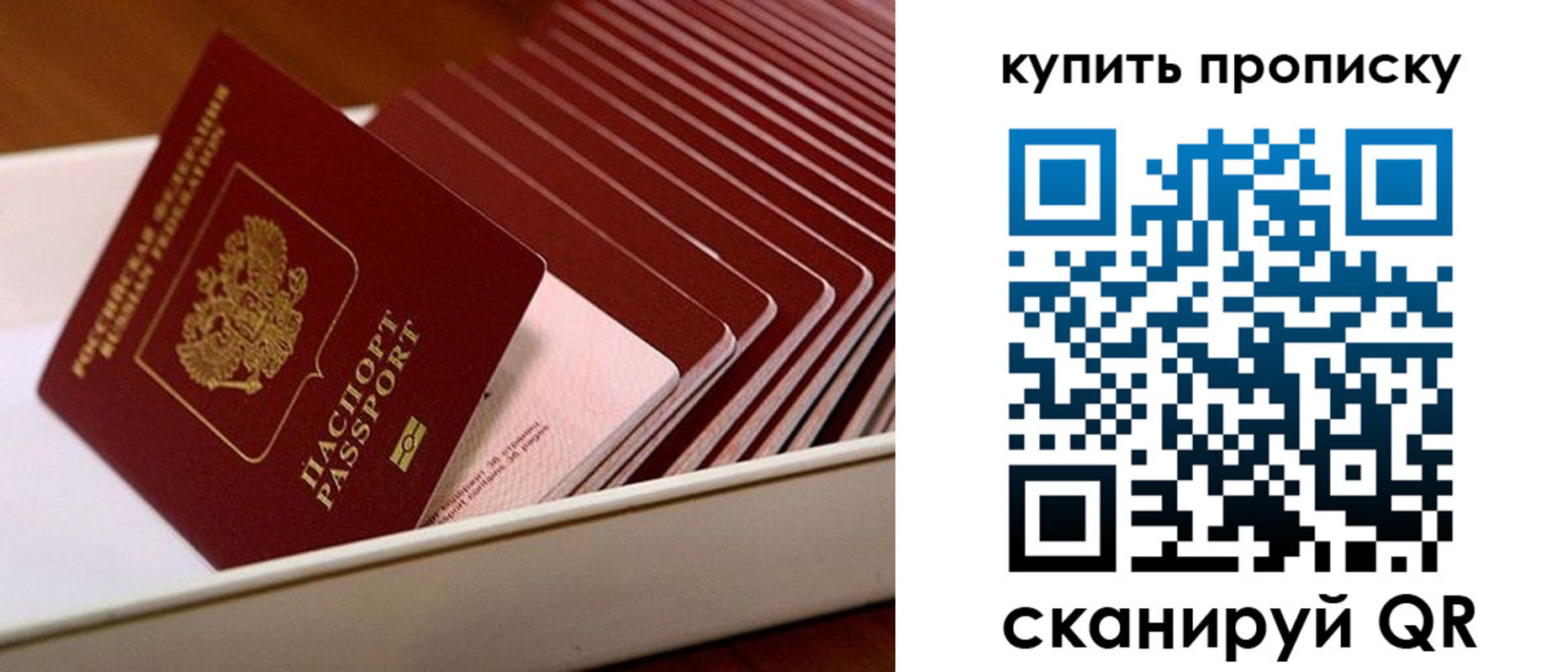 прописка гарантия в Курске